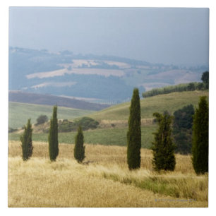 Italy. Tuscany. Pienza. Tile