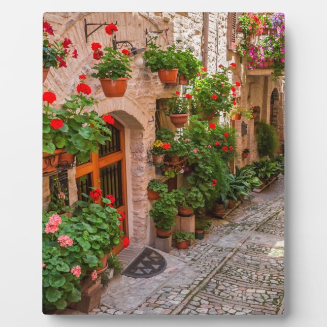 Italy, Tuscany Plaque (Front)