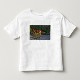 Italy, Tuscany. Red geraniums spill out of an Toddler T-Shirt