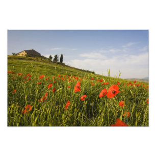 Italy, Tuscany, Tuscan Villa in Spring With Photo Print