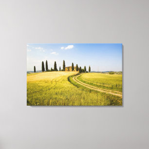 Italy, Tuscany, Tuscan Villa nearing Harvest. Canvas Print