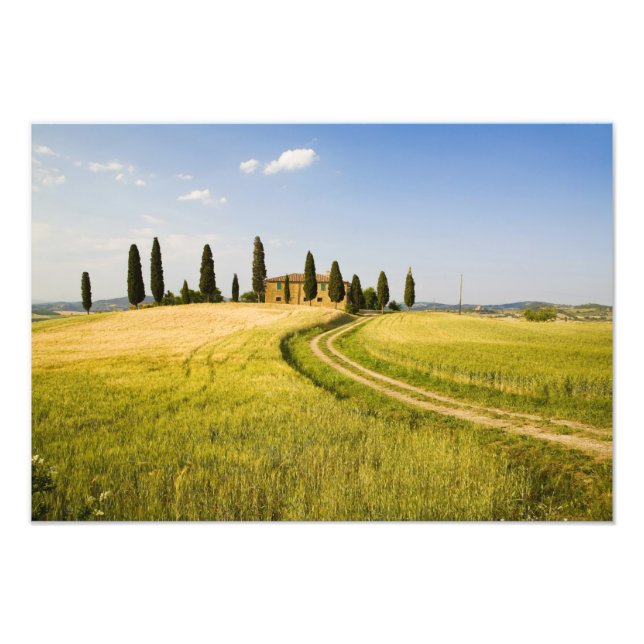 Italy, Tuscany, Tuscan Villa nearing Harvest. Photo Print (Front)