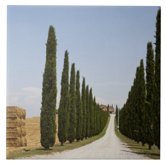Italy. Tuscany. Val D'Orcia (Orcia Valley) 3 Tile (Front)
