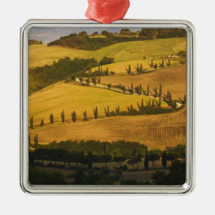 Italy, Tuscany, ZigZag Road in Tuscany. Metal Tree Decoration