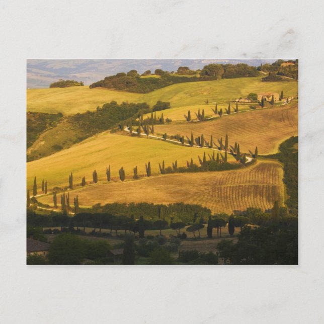 Italy, Tuscany, ZigZag Road in Tuscany. Postcard (Front)
