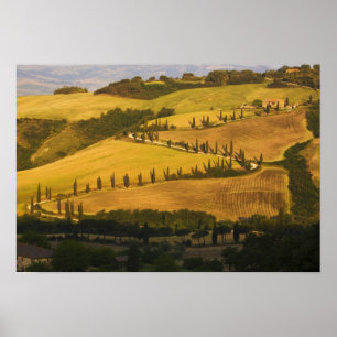 Italy, Tuscany, ZigZag Road in Tuscany. Poster