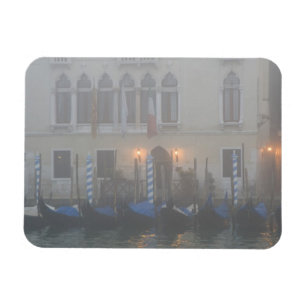 Italy, Venice. A row of gondolas seen through Magnet