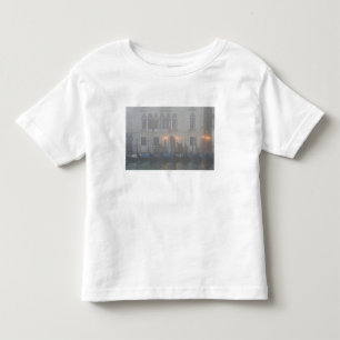 Italy, Venice. A row of gondolas seen through Toddler T-Shirt