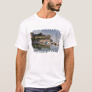 Italy, Verona Province, Torri del Benaco. Il T-Shirt