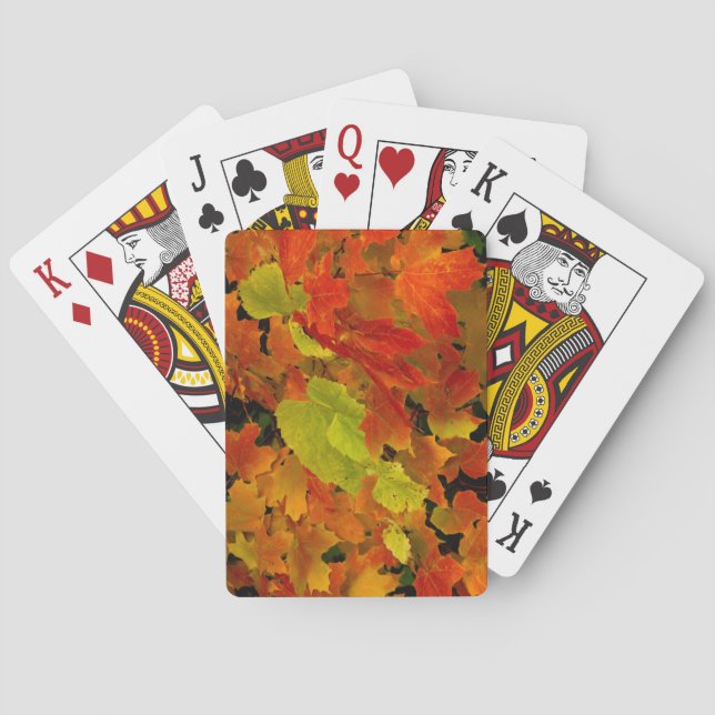 Itasca State Park, Fall Colors Playing Cards (Back)