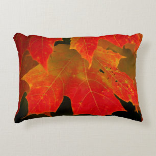 Itasca State Park, Fall Colours 2 Decorative Cushion