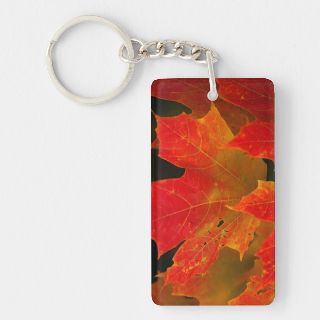 Itasca State Park, Fall Colours 2 Key Ring (Front)