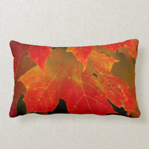 Itasca State Park, Fall Colours 2 Lumbar Cushion