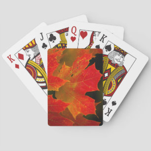 Itasca State Park, Fall Colours 2 Playing Cards