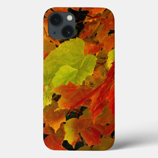 Itasca State Park, Fall Colours Case-Mate iPhone Case (Back)