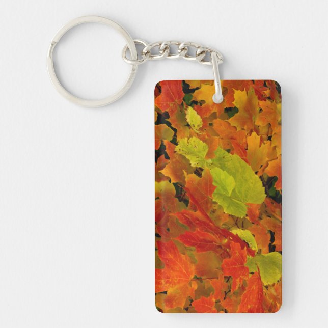 Itasca State Park, Fall Colours Key Ring (Front)