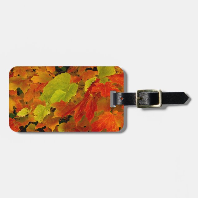 Itasca State Park, Fall Colours Luggage Tag (Front Horizontal)