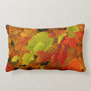 Itasca State Park, Fall Colours Lumbar Cushion