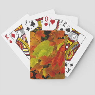 Itasca State Park, Fall Colours Playing Cards