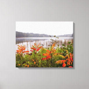 Itasca State Park   Minnesota Canvas Print