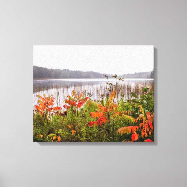 Itasca State Park | Minnesota Canvas Print (Front)