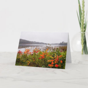 Itasca State Park   Minnesota Card