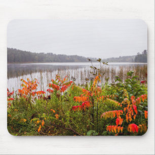 Itasca State Park   Minnesota Mouse Mat