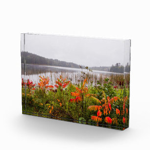 Itasca State Park Minnesota Photo Block