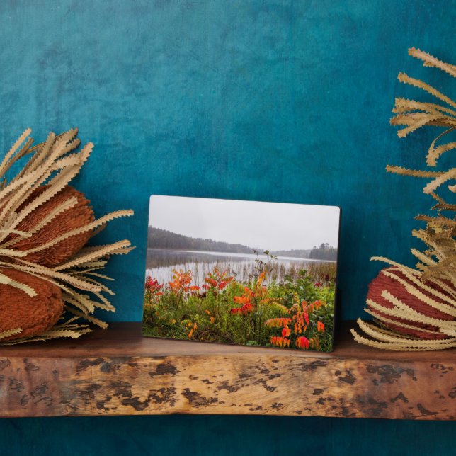 Itasca State Park | Minnesota Plaque (Side)