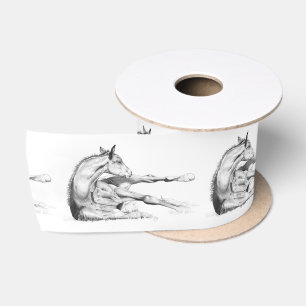 Itch Too 10 FT Spool Wide Satin Ribbon