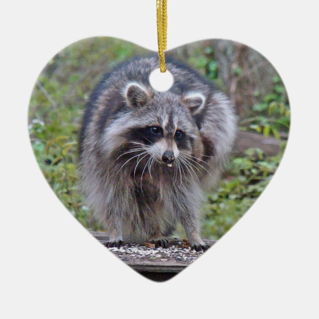Itchin' & Scratchin' Racoon Ceramic Tree Decoration (Front)