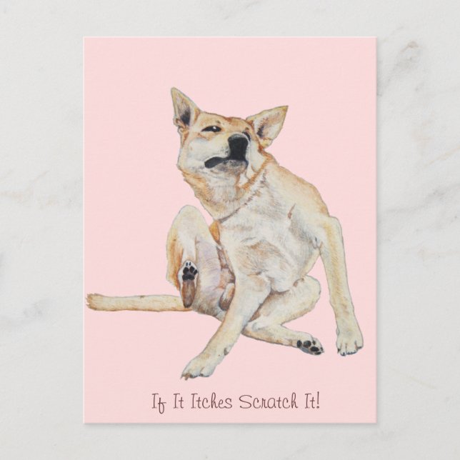 itchy dog scratching painting with funny slogan postcard (Front)
