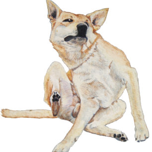 itchy dog scratching painting with funny slogan T-Shirt