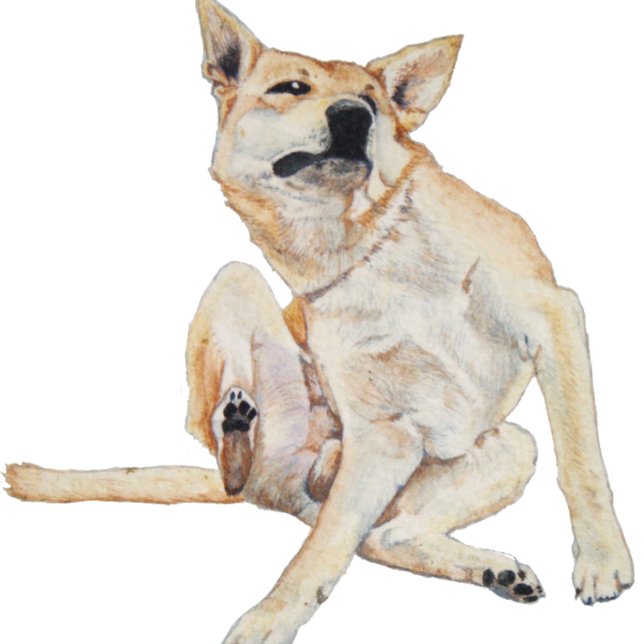 itchy dog scratching painting with funny slogan T-Shirt (Creator Uploaded)