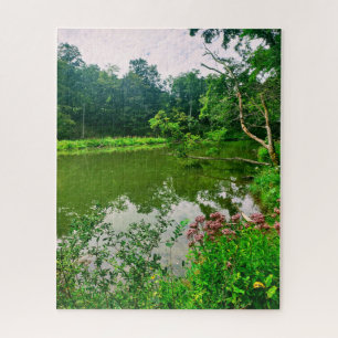 ITHACA NEW YORK NATURE RESERVE  JIGSAW PUZZLE
