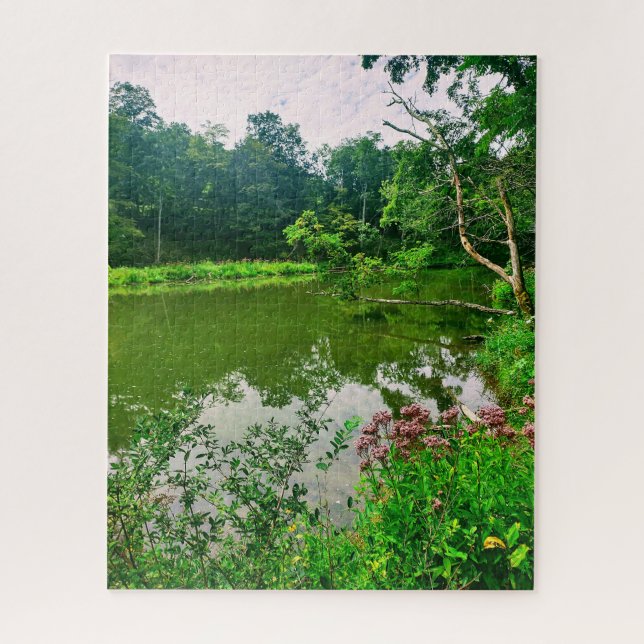ITHACA NEW YORK NATURE RESERVE  JIGSAW PUZZLE (Vertical)