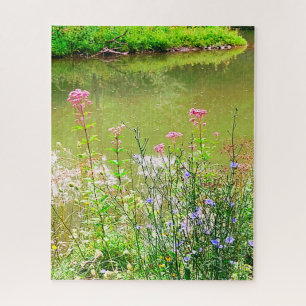 ITHACA NEW YORK NATURE RESERVE JIGSAW PUZZLE