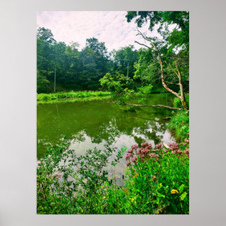 ITHACA NEW YORK NATURE RESERVE POSTER