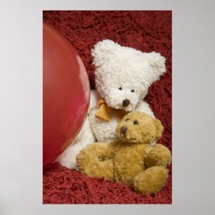 It's a balloon Ted ... poster
