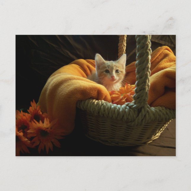 It's a big world Postcard (Front)