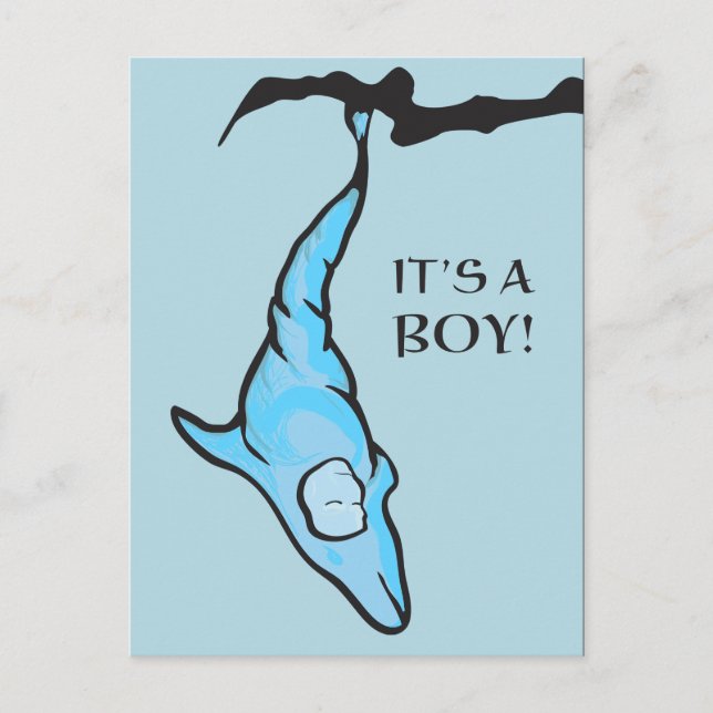 it's a boy! (blue dolphin cocoon) postcard (Front)