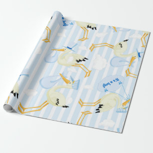 Its a boy blue stork theme wrapping paper