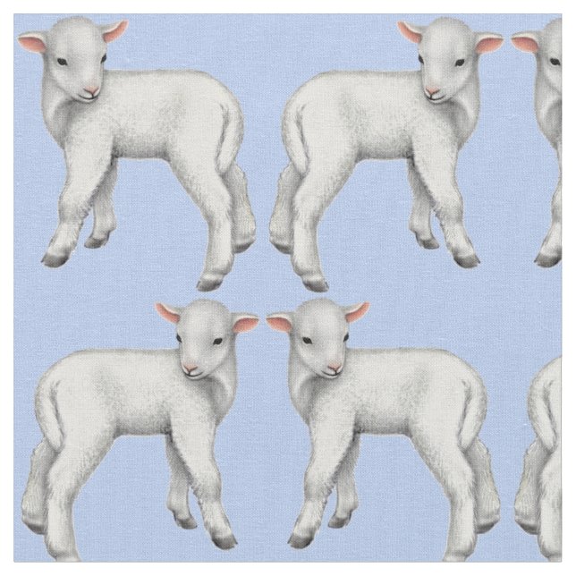 It's a Boy Little Baby Lamb Fabric (Close Up)