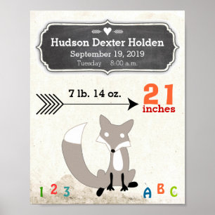 It's A Boy! New Baby Stats Cute Fox Poster