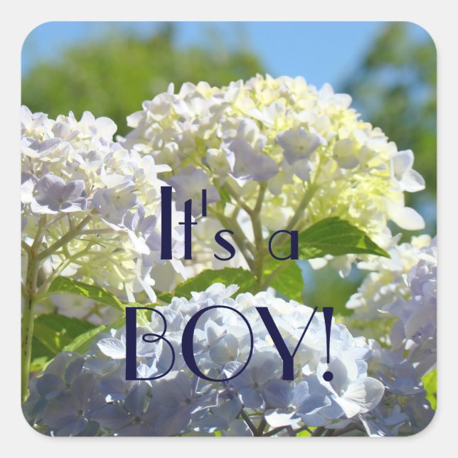It's a Boy! stickers Blue Hydrangea Flowers (Front)
