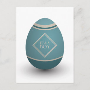 it's a boy stork egg announcement postcard