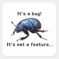 "It's a bug! It's not a feature..." programmer
