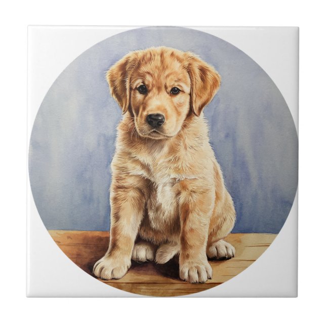 It's a ceramic tile. tile (Front)