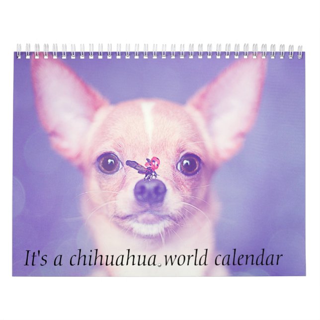It's A Chihuahua World Calendar (Cover)