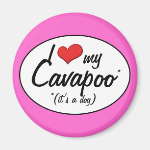 It's a Dog! I Love My Cavapoo Magnet